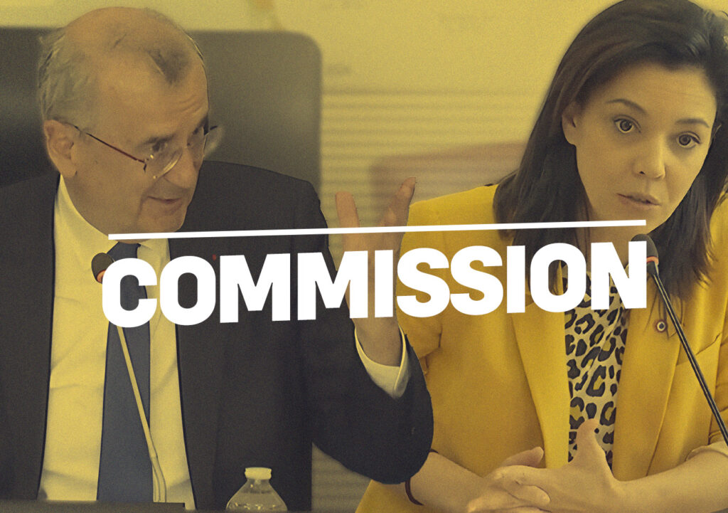 Commission européenne monnaie commune mondiale de référence